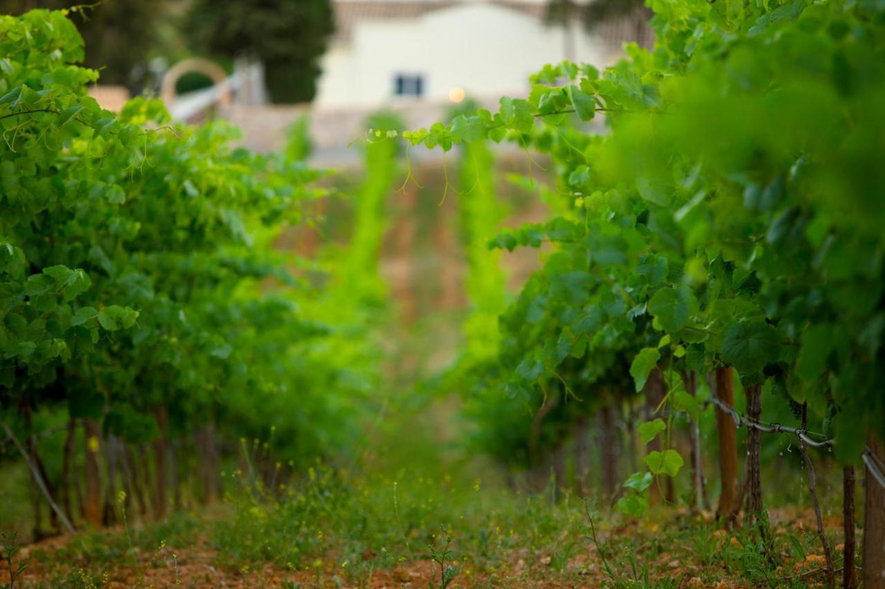 Pensjonat Quinta Dos Vales Wine Estate Estômbar Zewnętrze zdjęcie